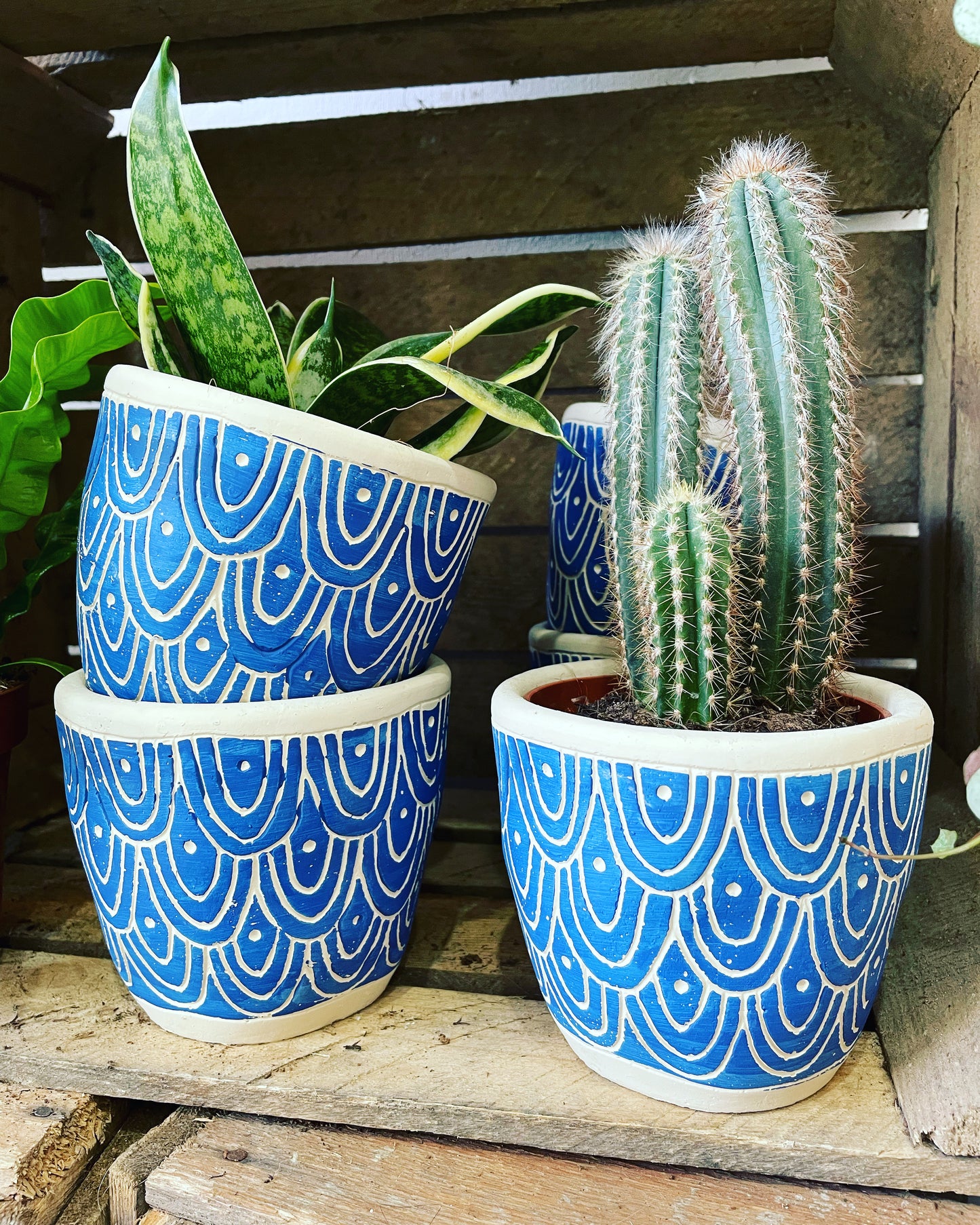 Blue Wave Cement Planter