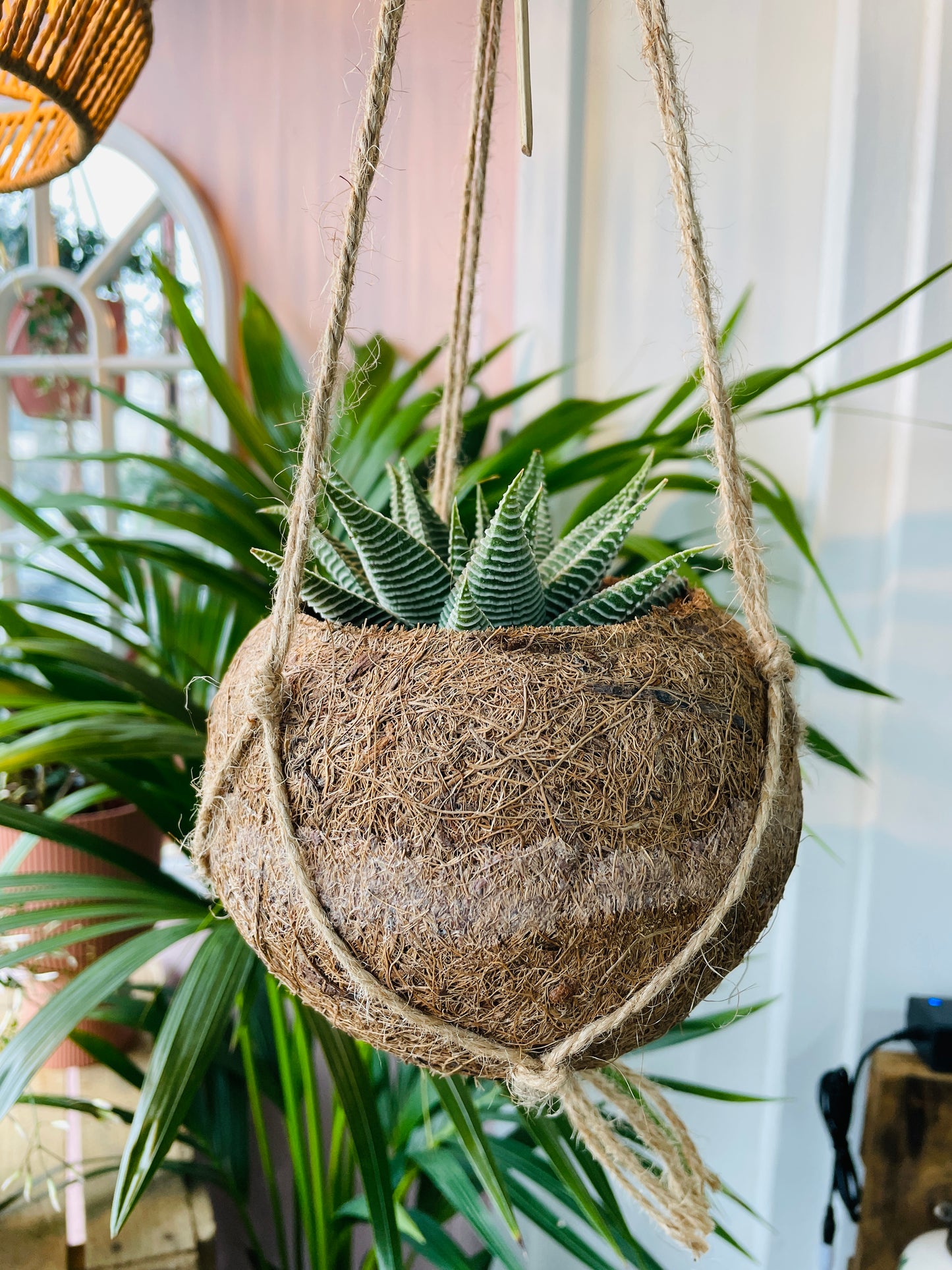 KOKODAMA Hanging Planter