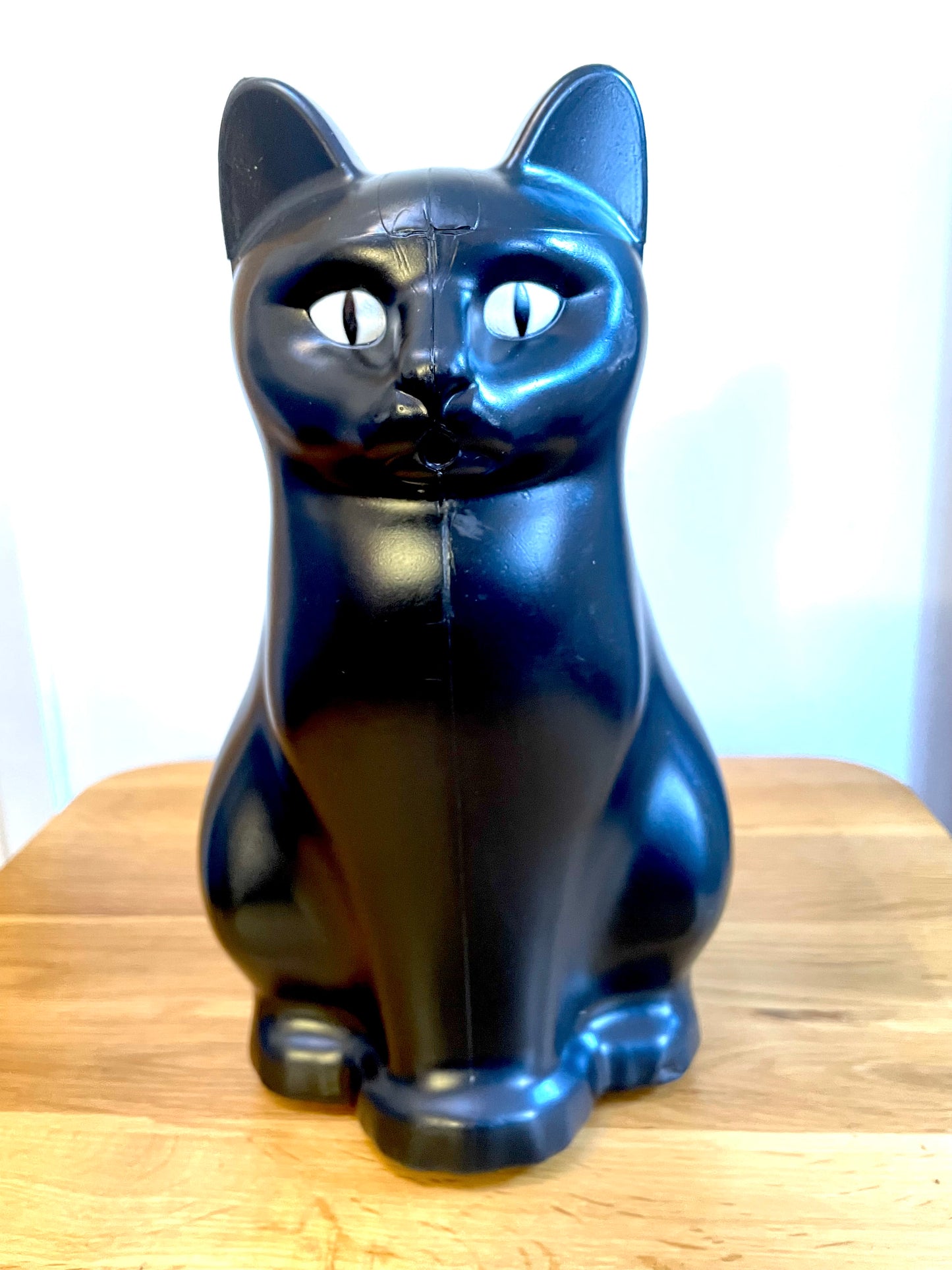 Black Cat Watering Can